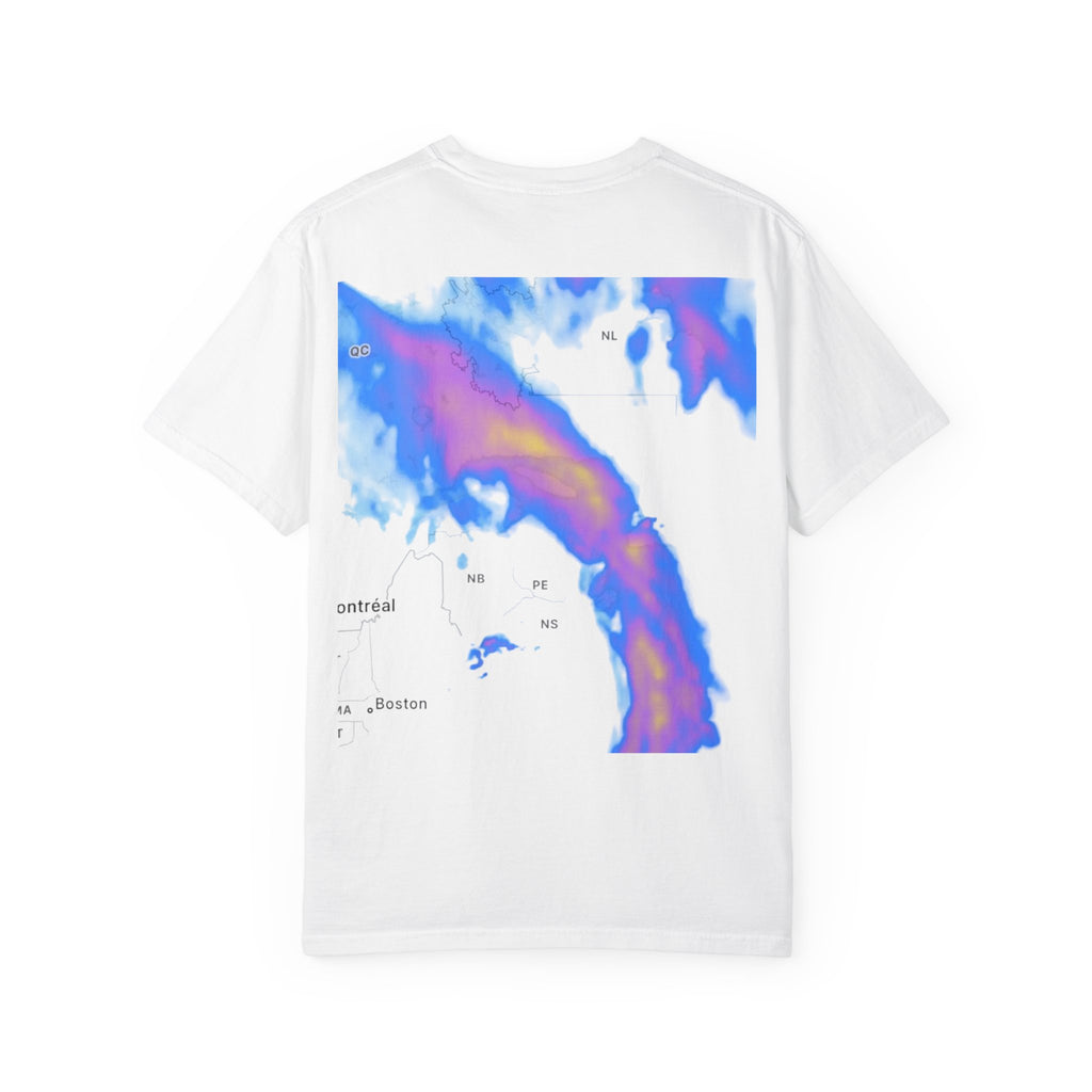 Raptors Logo T-Shirt — BTM Raptors Graphic Tee (Front Logo, Abstract Back Map)