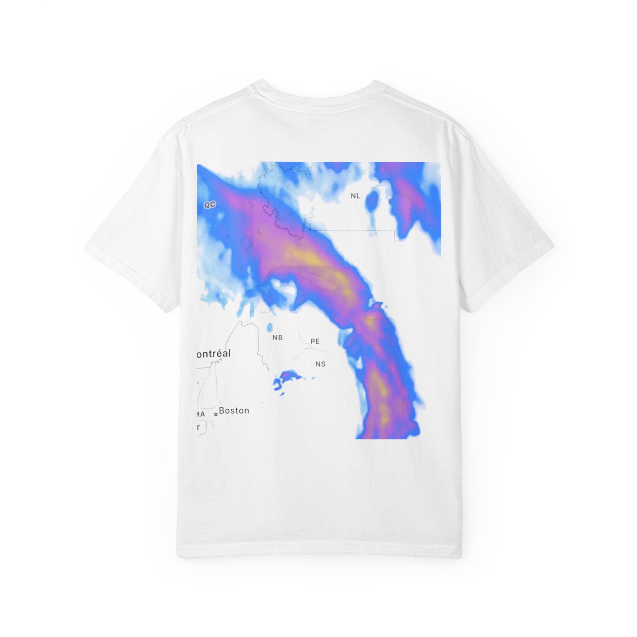 Raptors Logo T-Shirt — BTM Raptors Graphic Tee (Front Logo, Abstract Back Map)