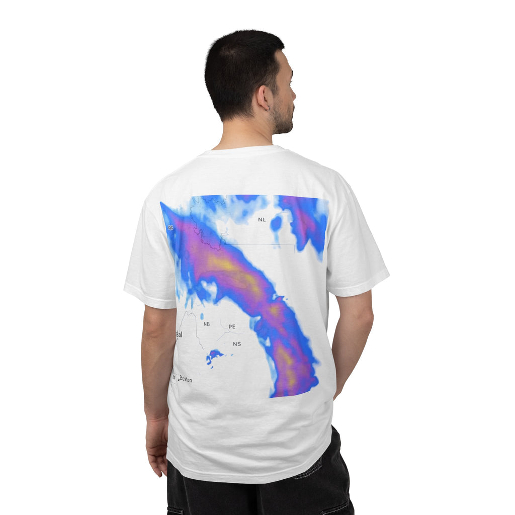 Raptors Logo T-Shirt — BTM Raptors Graphic Tee (Front Logo, Abstract Back Map)